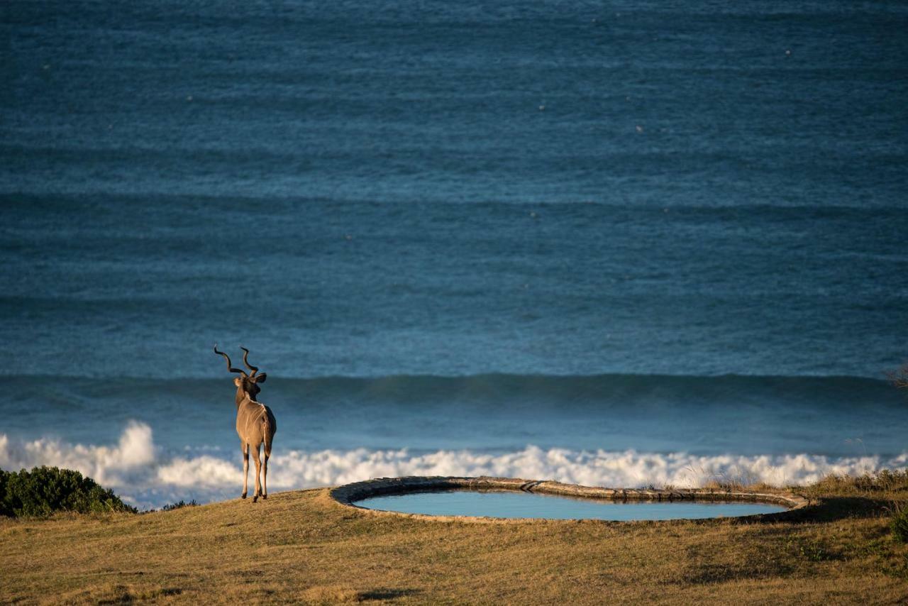 Oceana Beach And Wildlife Reserve Port Alfred Exterior photo