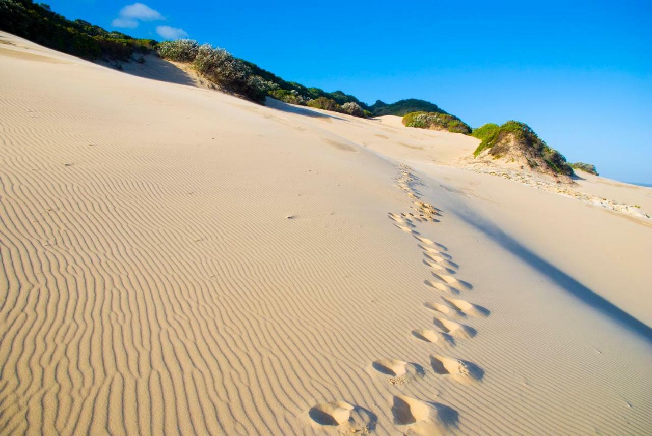 Oceana Beach And Wildlife Reserve Port Alfred Exterior photo
